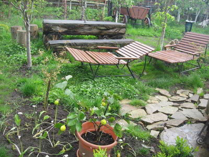 Leaganul Bucovinei Guest House Suceava Buitenkant foto