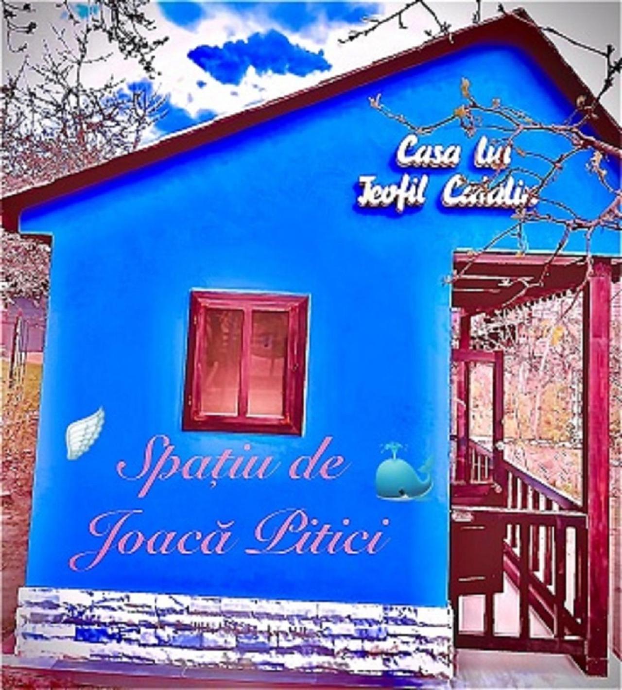 Leaganul Bucovinei Guest House Suceava Buitenkant foto