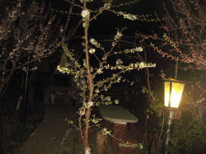 Leaganul Bucovinei Guest House Suceava Buitenkant foto